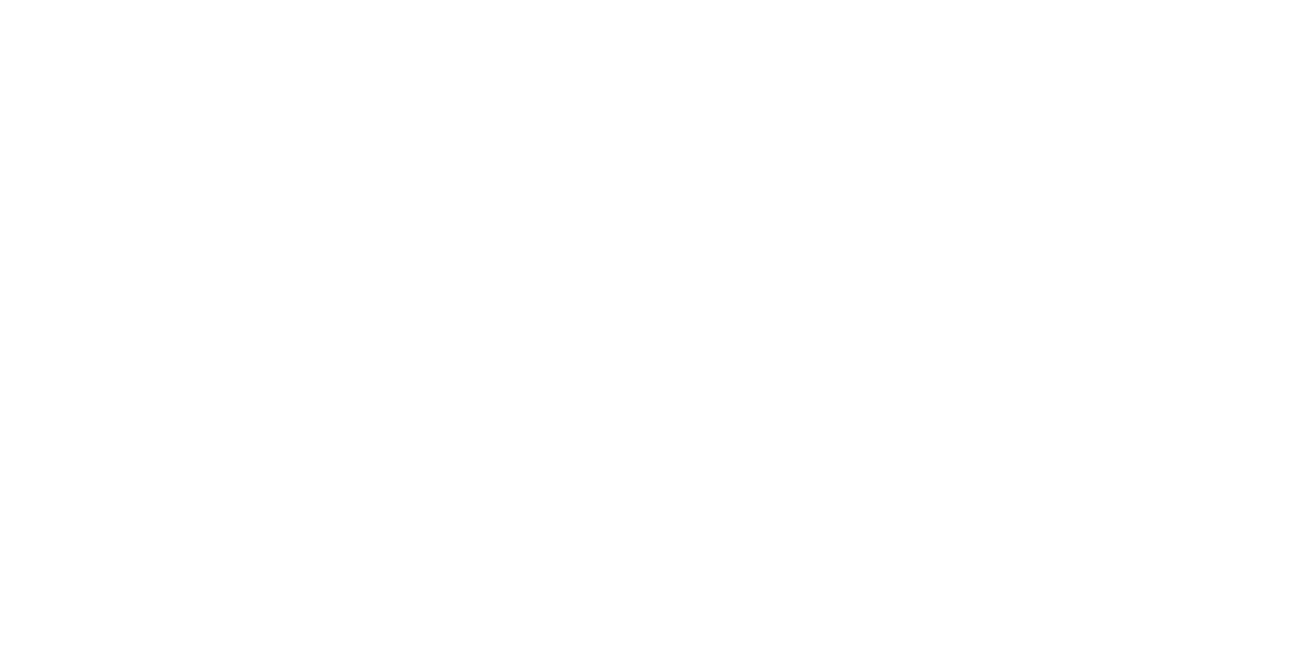 Cappitech_Logo_white_RGB