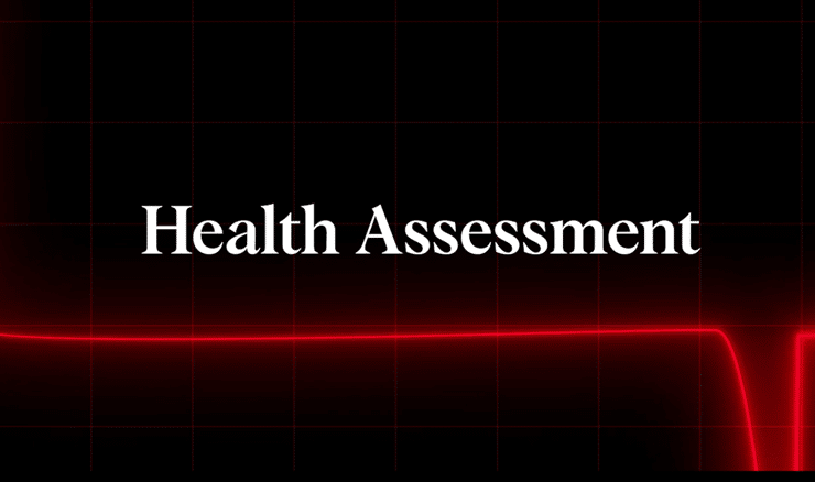 Cappitech Consulting Health Checks